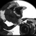 The Cat's Companion (@catscompanion) Twitter profile photo