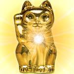 どうも金猫です。不労所得収入獲得を目指して会社勤めしながらサイドビジネスを思考錯誤しながらやってます。どうぞ、宜しくお願いします。