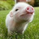 Lesley Bean - @lesm324 - Twitter