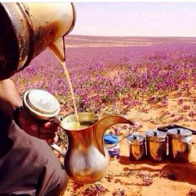 (متذوق لشعر)