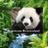 WNFRivierenland's profile image