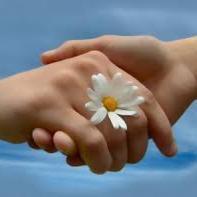 khouzit_sara's profile picture. 