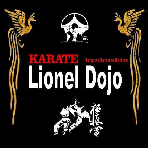 LIONEL_DOJO's profile picture. 