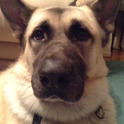 dontgetfrisky's profile picture. Let's all pretend this is a very witty, humorous bio. Thanks guys