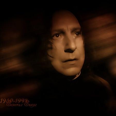 sevslove's profile picture. Harry Potter forever,Severus Snape Always.  Dog lover, living with 2 JRT