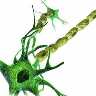 flipbookproject's profile picture. help me generate fund for stem cell research here in the philippines 09201013295