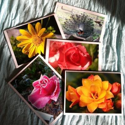 DandMcards's profile picture. Handmade note cards inspired by nature and happy memories! Mailing sunshine everyday! #greeting #notecards #birthday #love #mother #flowers #thankyou #handmade