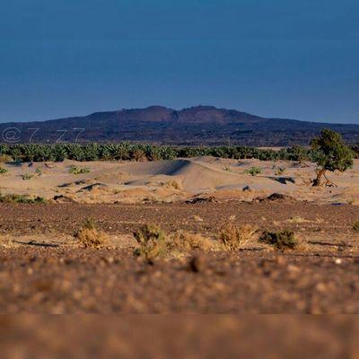 4081702202274d8's profile picture. ‏‏‏‏السبيعي