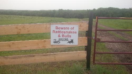 fatherjay4h's profile picture. 