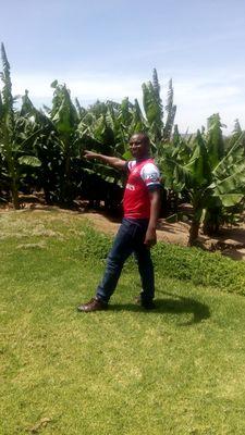 a cheerful giver