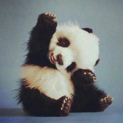 mxlovxhex's profile picture. muzyka seriale spanie książki