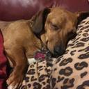 Donna Cloud - @donnacloud1954 - Twitter