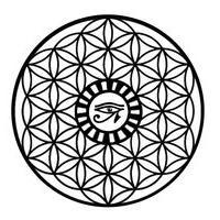 asanyo237's profile picture. 