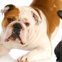 Mia Sharp - @miagsharp - Twitter