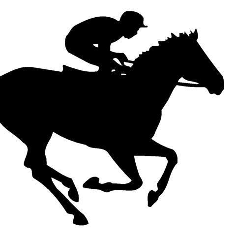 TheHorsesMan's profile picture. Find the daily favourites with one click to betslip!
