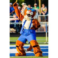 Ringgold High School (@roarforringgold) 's Twitter Profile