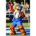 Ringgold High School (@roarforringgold) Twitter profile photo Ringgold High School (@roarforringgold) Twitter profile photo