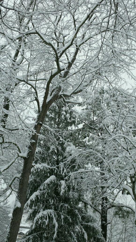 jenniferwade121's profile picture. 