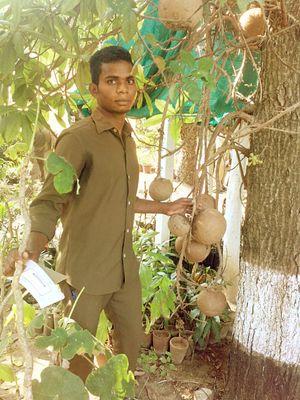 plantdoctor