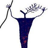Open Mic Night First Tuesday of Every Month. All Welcome. Poetry, Slam, Prose, Comedy, Music - We Love You All.