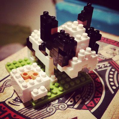 eduff2285's profile picture. I am awesome, and that's all there is to be said