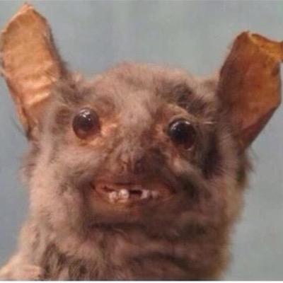 Kemt_and_frenz's profile picture. Legit MLG Fake Gamers Mediocre Gaming |Youtube: kemtandf | Instagram: kemt_and_frenz | Twitch: kemt_and_friends|