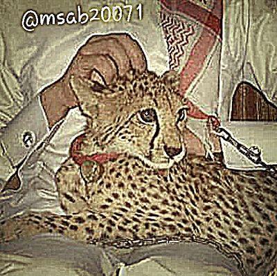 ‏اللهم صلي على محمد وآله و صحبه وسلم