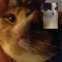 Hannah&Hazel - @bananaandnut - Twitter