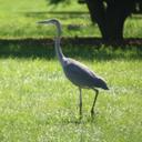 Christopher Townsend - @admiralct - Twitter