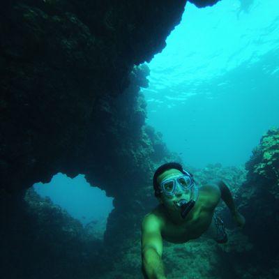 daaaanroberts's profile picture. 