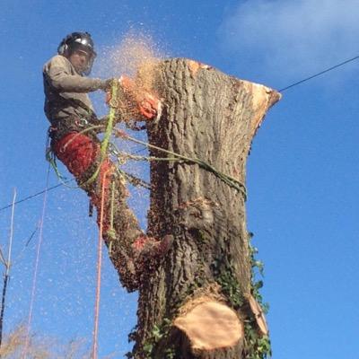 GPC are a team of professionally qualified and fully insured Tree Surgeons. We are based in Rickmansworth Hertfordshire.