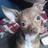 lilmisspiggy81's profile image