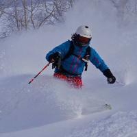 Amy Harvey (@amyharvey2) 's Twitter Profile Photo