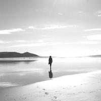 Ambient (@ambientl) 's Twitter Profile