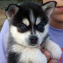 Ashlee Clayton - @ashlee56879 - Twitter