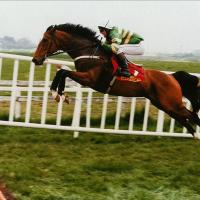 stephen lane (@stevebroncolane) 's Twitter Profile