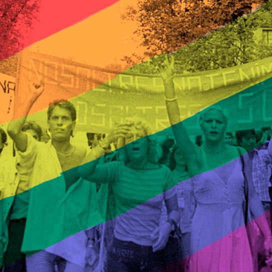 Grupo intergeneracional  y diverso de personas que luchan por los derechos de las personas mayores lesbianas, gais, bisexuales, transexuales e intersexuales.