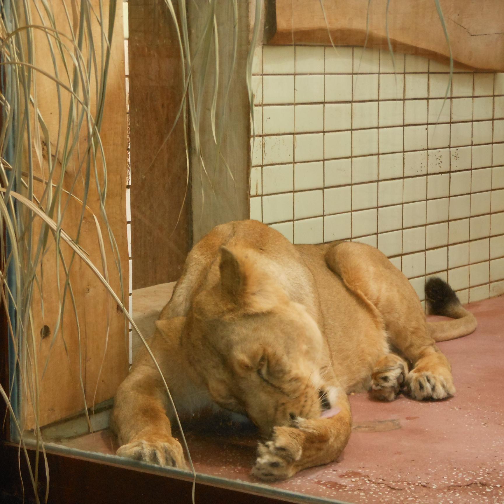 tom215555's profile picture. 