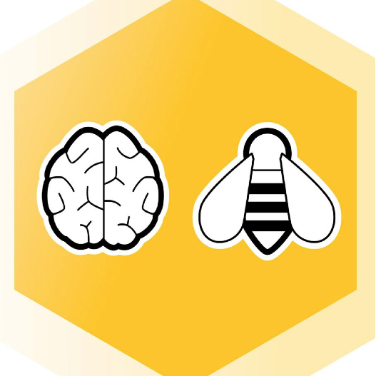 USABrainBee's profile picture. The Brain Bee is a neuroscience competition for high school students that test their knowledge of the human brain. Founded by  Dr. Norbert Myslinski.