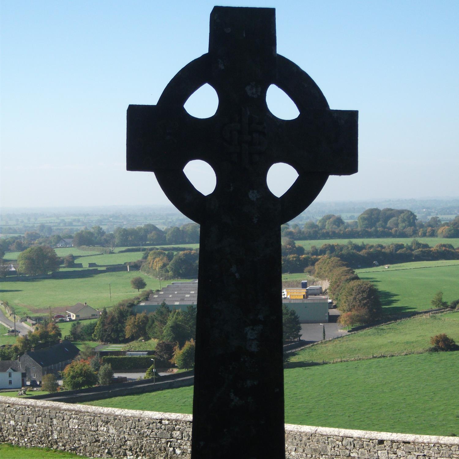 Species59's profile picture. 