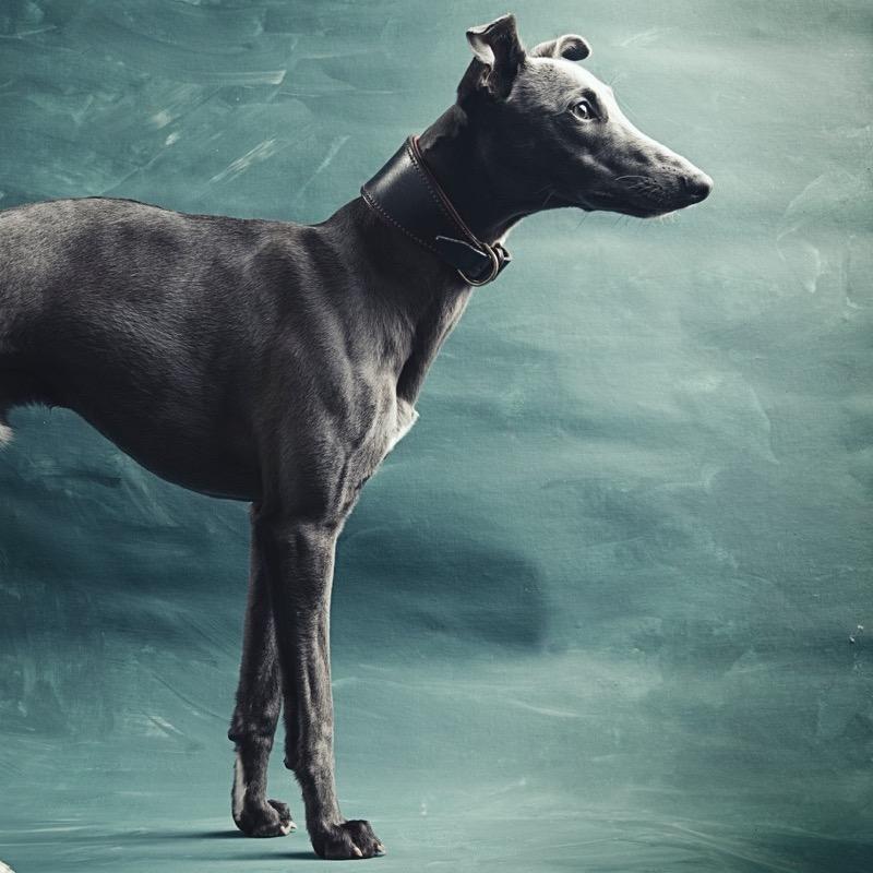 Mlloydphoto's profile picture. 