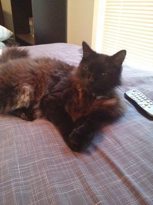 RealDoctorCool's profile picture. My name is Doctor Cool. I have lived up to my name and earned the nickname Dr. Cool. I am insanely photogenic and full of opinions! Follow and see!