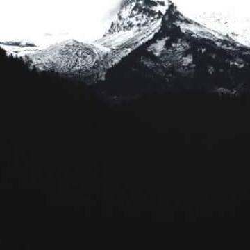 abbasaek's profile picture. 