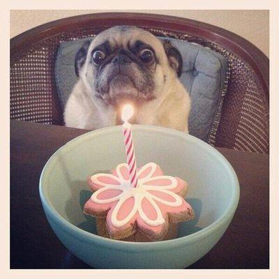 Laughing so much that you pee your pants is a good thing...