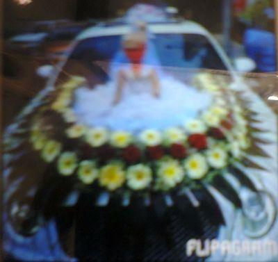 lenzchala's profile picture. 