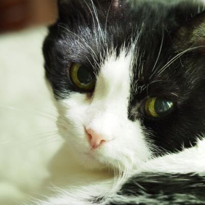 Pinkydoodlez's profile picture. 