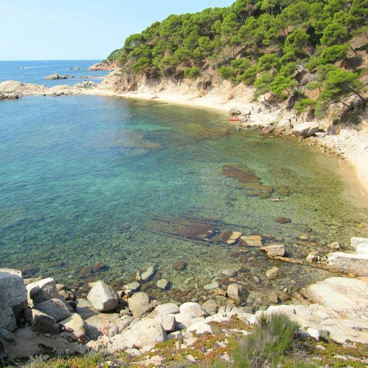 Pàgina web sobre el Camí de Ronda.