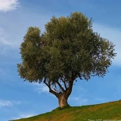 Noticias y estrategias de los mercados IBEX , DAX US30. Tratamos de no perder dinero en el mercado.Trader de indices . Solo muestro opiniones personales .
