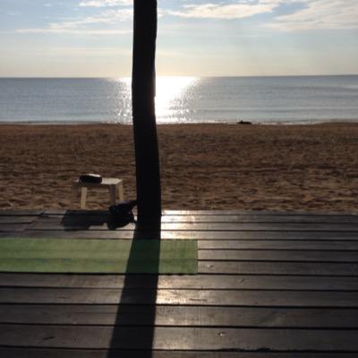 gina_imbrogno's profile picture. 