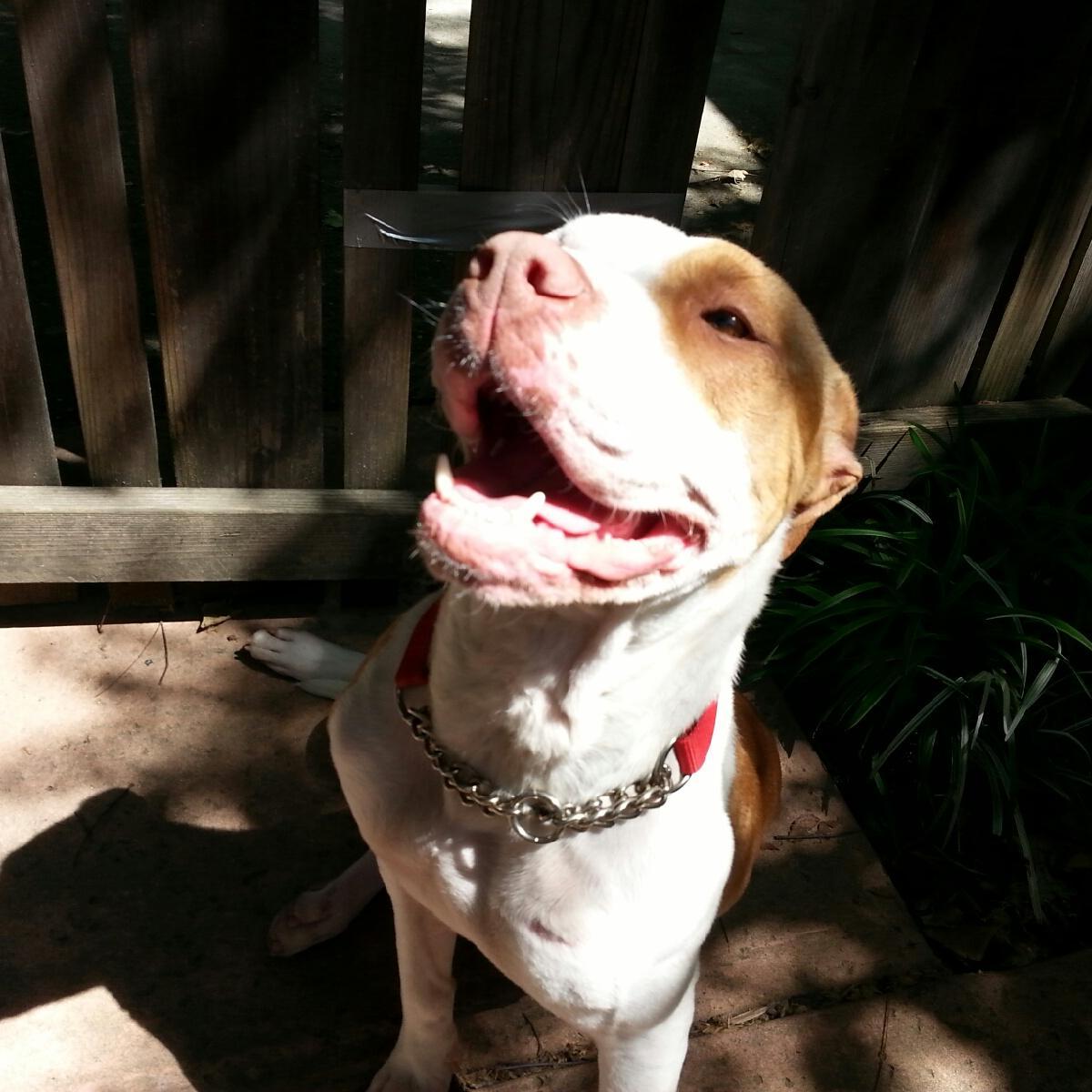 keatonmriley's profile picture. Born in the giant field that used to be Elk Grove.  Stick to sports...And politics.